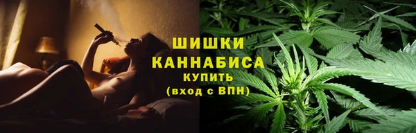 дурь Осинники