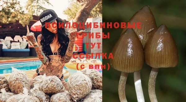 дурь Осинники