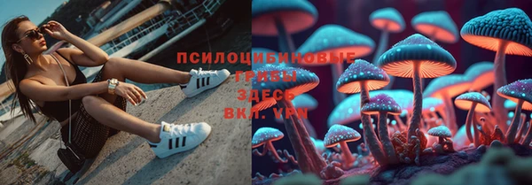 а пвп мука Нягань